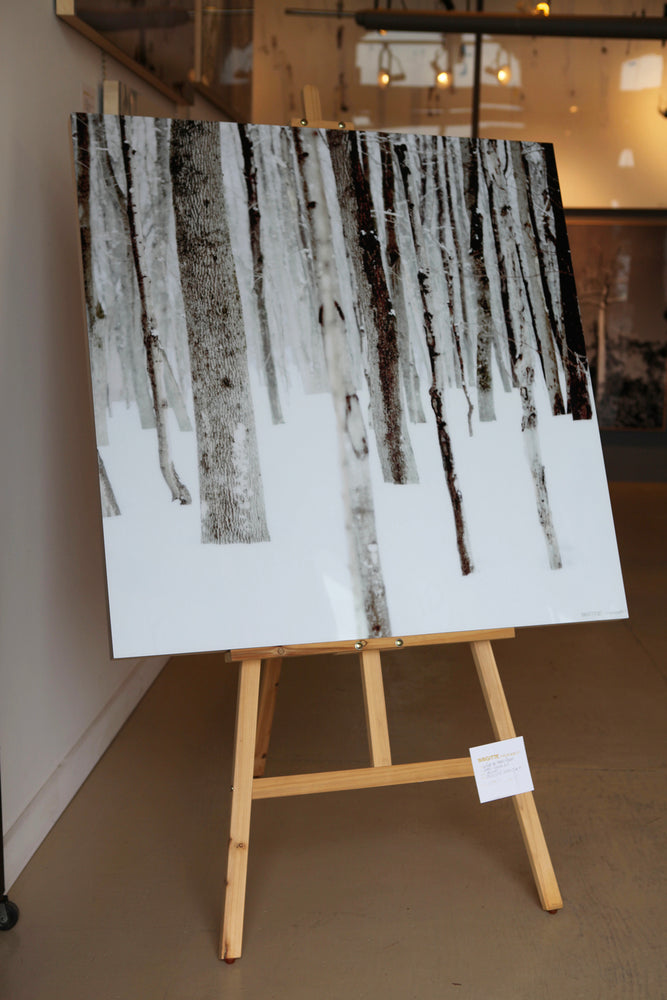 
                  
                    Charger l&amp;#39;image dans la galerie, La Forêt des Blancs Flocons
                  
                