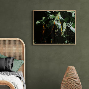 
                  
                    Load image into Gallery viewer, En Passant par Là
                  
                