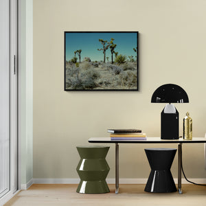
                  
                    Load image into Gallery viewer, Era Blue
                  
                