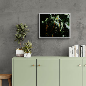
                  
                    Load image into Gallery viewer, En Passant par Là
                  
                