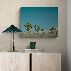
                  
                    Load image into Gallery viewer, Les Joshuas
                  
                