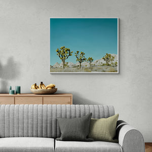 
                  
                    Load image into Gallery viewer, Les Joshuas
                  
                