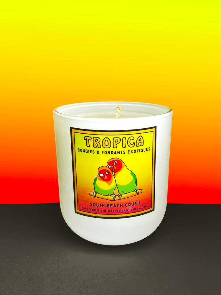 TROPICA_Candles and fondants