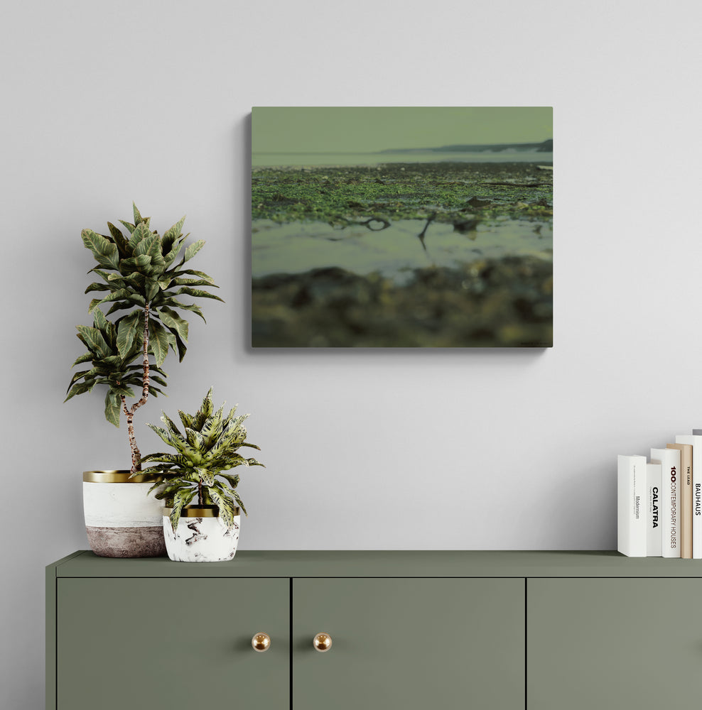 
                  
                    Load image into Gallery viewer, Varek
                  
                