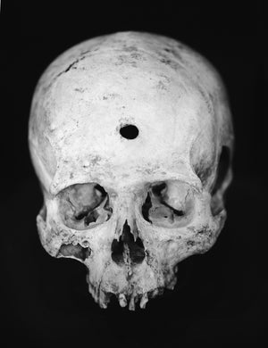 
                  
                    Load image into Gallery viewer, Skull
                  
                