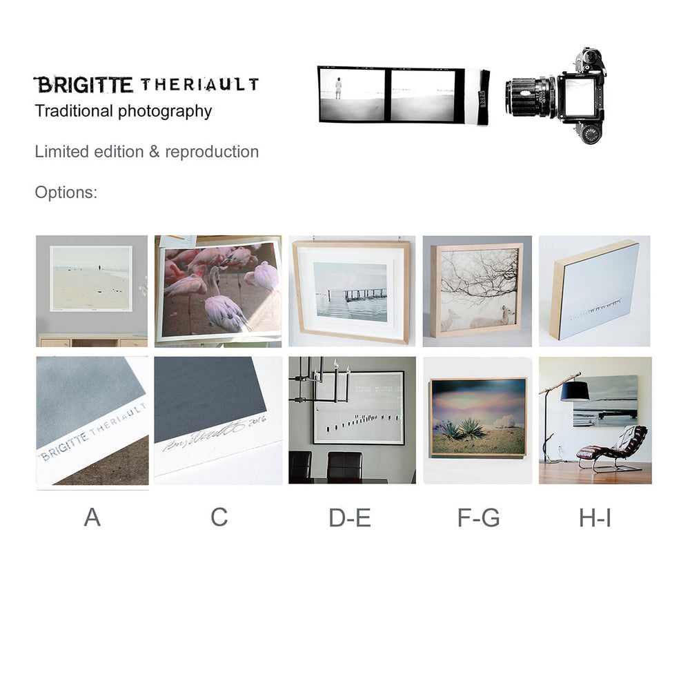 
                  
                    Load image into Gallery viewer, L&amp;#39;Ours et le Ballon
                  
                