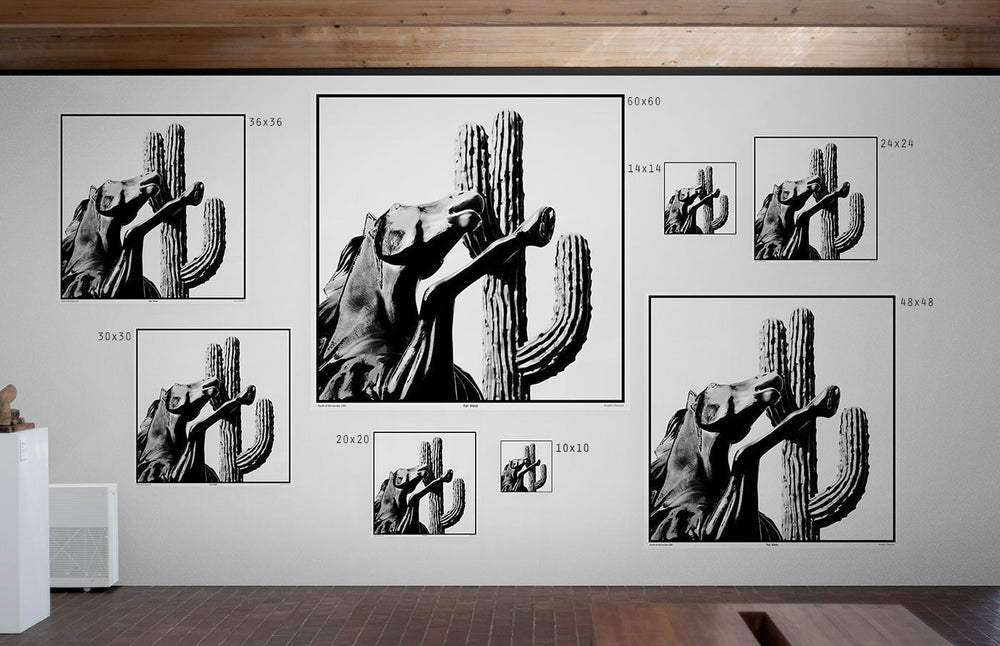 
                  
                    Load image into Gallery viewer, Flamenco
                  
                