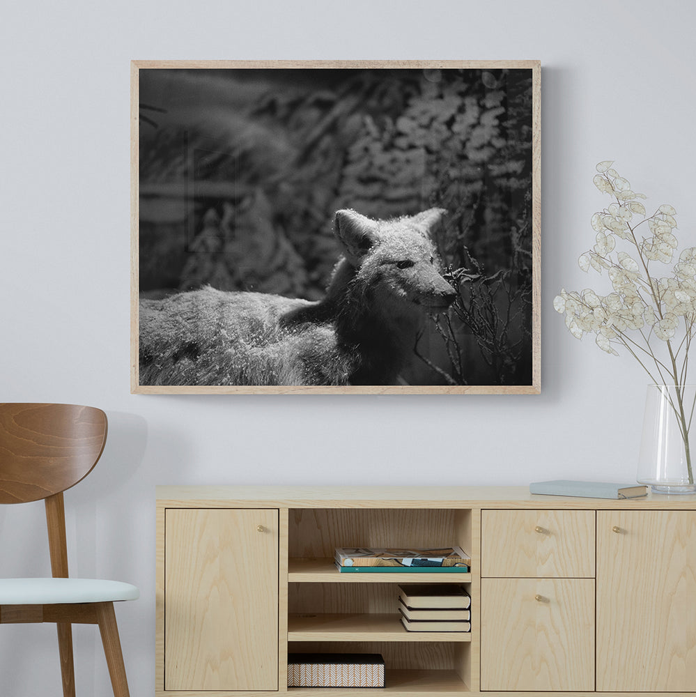 
                  
                    Load image into Gallery viewer, White Wolf
                  
                