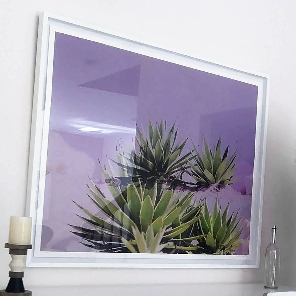 
                  
                    Load image into Gallery viewer, Joshua Rock 1
                  
                